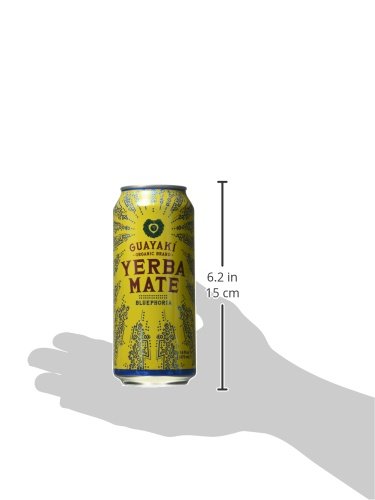 Bluephoria Organic Yerba Mate 16 Fl Oz (Pack of 12) Refreshing Energy Drink for Adults Daily Use