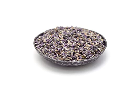 1LB (16Oz) Organic Lavender Tea | Perfect for Tea, Baking & DIY Beauty | 100% Raw Albanian Harvest | USDA Organic | Cer
