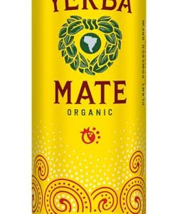 Guayakí Yerba Mate Organic Cranberry Pomegranate Sparkling Energy Drink, 12 Oz, 80mg Natural Caffeine for Smooth Energy