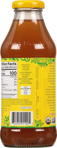 Guayaki Organic Yerba Mate, Mint Terere, 16 oz USDA Organic - Refreshing Mint Flavor for Health-Conscious Drinkers on t