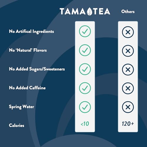 Tama Tea Sparkling Yerba Mate - Natural Energy Drink with Real Fruit & Herbs - Healthy Caffeine Alternative - 120mg Caff