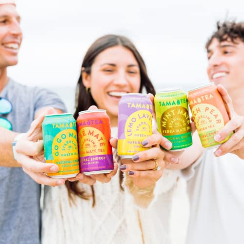 Tama Tea Sparkling Yerba Mate - Natural Energy Drink with Real Fruit & Herbs - Healthy Caffeine Alternative - 120mg Caff