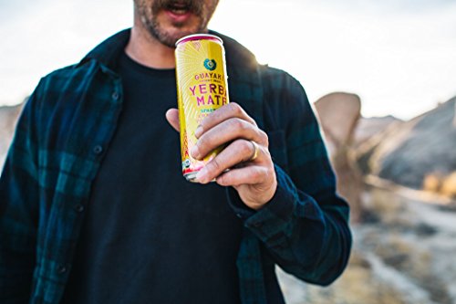 USDA Organic Organic Yerba Mate Sparkling Cranberry Pomegranate 12 Ounce (Pack of 12) | Organic Yerba Mate Drink Spark