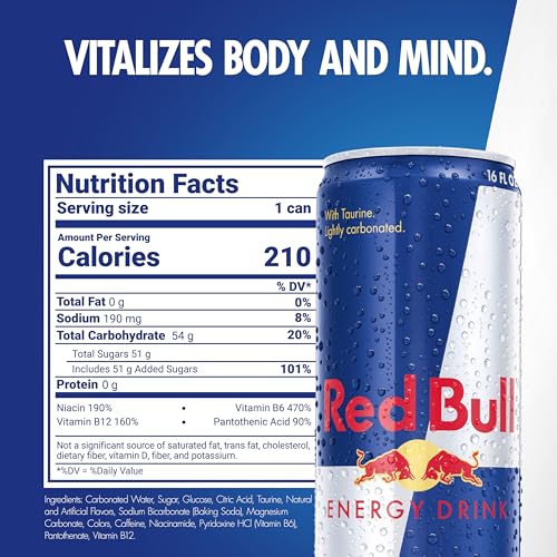 Red Bull Energy Drink 151mg Caffeine Taurine B Vitamins 16 Fl Oz Pack of 12 Cans for Athletes | Red Bull Energy Drink 1