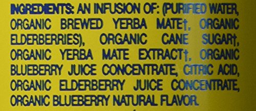 Bluephoria Organic Yerba Mate 16 Fl Oz (Pack of 12) Refreshing Energy Drink for Adults Daily Use