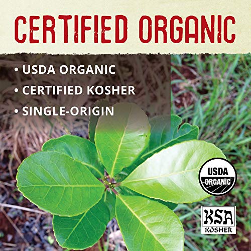 ECOTEAS Organic Yerba Mate Tea Bags - Natural Energy Boost & Detox - Coffee Alternative - Kosher, Non-GMO, Gluten-Free -