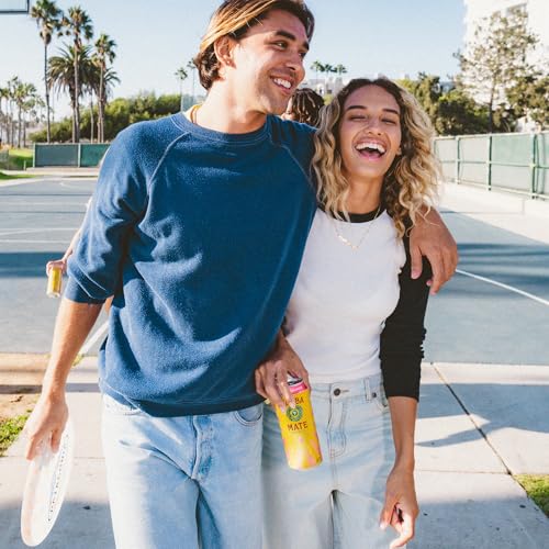 Yerba Madre Organic Yerba Mate - Berry Lemonade, Low Sugar, 150mg Natural Caffeine, Better for You Energy & Focus - Pack