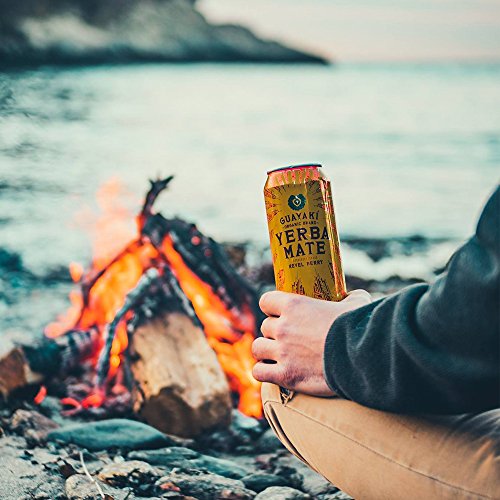 Guayaki Organic Yerba Mate Revel Berry 15.5 Ounce Pack of 12 USDA Organic | Guayaki Organic Yerba Mate Revel Berry 15.5