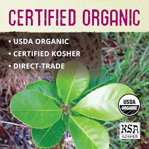 ECOTEAS Holy Mate Organic Yerba Mate Tea Bags for Natural Energy and Stress Support | ECOTEAS Holy Mate USDA Organic He