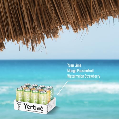 Yerbaé Variety Flex Pack, 0 Sugar Energy Drink - Healthy Alternative to Sugary Beverages, 16oz Cans (12 Pack) Yerbaé V