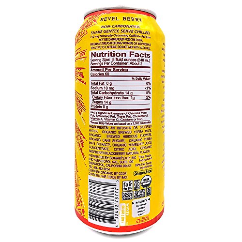 Guayaki Organic Yerba Mate Revel Berry 15.5 Ounce Pack of 12 USDA Organic | Guayaki Organic Yerba Mate Revel Berry 15.5