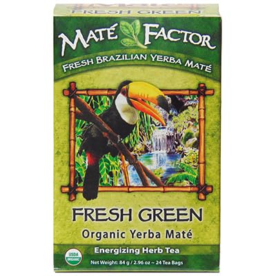Yerba Mate Energizing Herb Tea Bag | Organic Fresh Green | Perfect Gift for Health-Conscious Adults | Work and Home | R