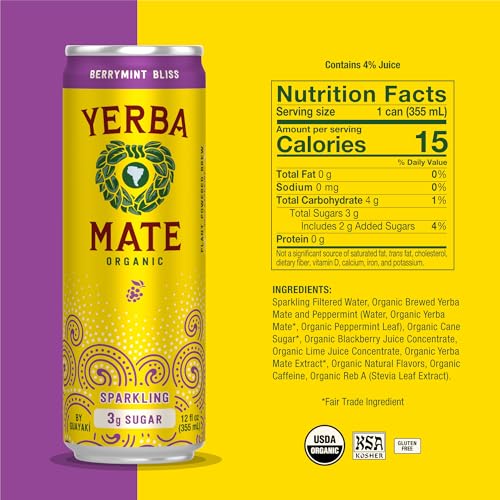 Yerba Madre Organic Sparkling Yerba Mate Berrymint Bliss for Low Sugar Energy & Focus | Yerba Madre Organic Sparkling Y