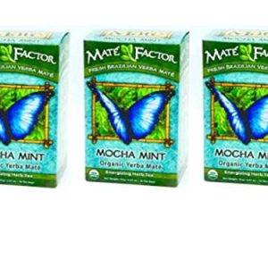 The Mate Factor Yerba Mate Energizing Herb Tea, Mocha Mint, Perfect for Health-Conscious Drinkers, Everyday Snacktime |