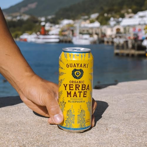 Guayakí Organic Yerba Mate Clean Energy Drink Alternative Bundle, 15.5 Oz (Pack of 24) for Clean Energy & Focus, Revel B
