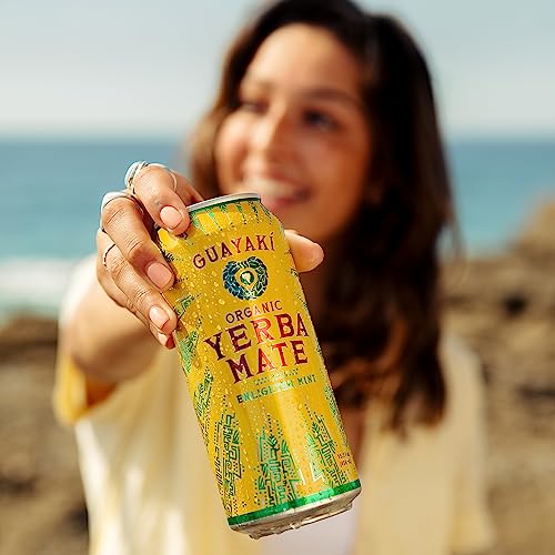 Guayaki Yerba Mate Enlighten Mint + Herbal Tea + Adults + Daily Drink + Refreshing Flavor + 16 oz + Organic Herbal Tea