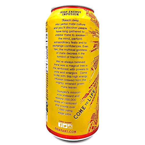 Guayaki Organic Yerba Mate Revel Berry 15.5 Ounce Pack of 12 USDA Organic | Guayaki Organic Yerba Mate Revel Berry 15.5