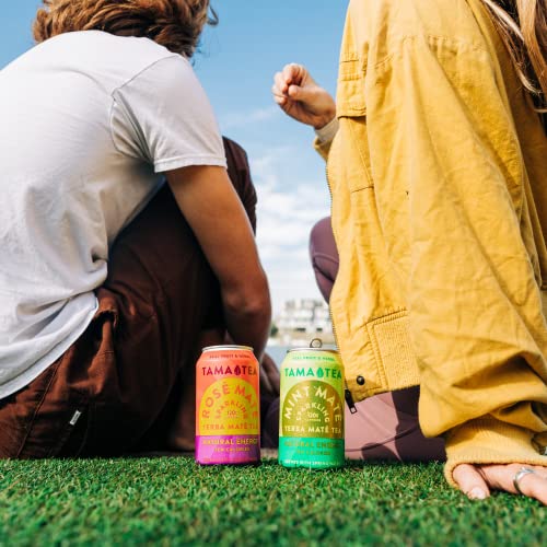 Tama Tea Sparkling Yerba Mate - Natural Energy Drink with Real Fruit & Herbs - Healthy Caffeine Alternative - 120mg Caff