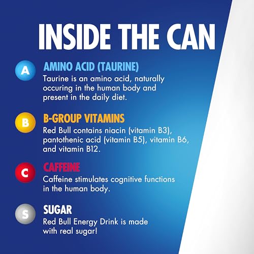 Red Bull Energy Drink 151mg Caffeine Taurine B Vitamins 16 Fl Oz Pack of 12 Cans for Athletes | Red Bull Energy Drink 1
