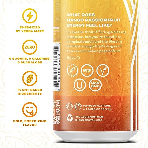 Yerbaé Variety Flex Pack, 0 Sugar Energy Drink - Healthy Alternative to Sugary Beverages, 16oz Cans (12 Pack) Yerbaé V