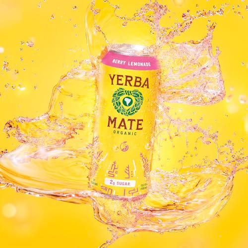 Yerba Madre Organic Yerba Mate - Berry Lemonade, Low Sugar, 150mg Natural Caffeine, Better for You Energy & Focus - Pack