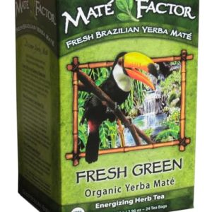 Yerba Mate Energizing Herb Tea Bag | Organic Fresh Green | Perfect Gift for Health-Conscious Adults | Work and Home | R