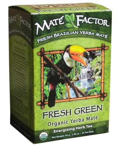 Yerba Mate Energizing Herb Tea Bag | Organic Fresh Green | Perfect Gift for Health-Conscious Adults | Work and Home | R
