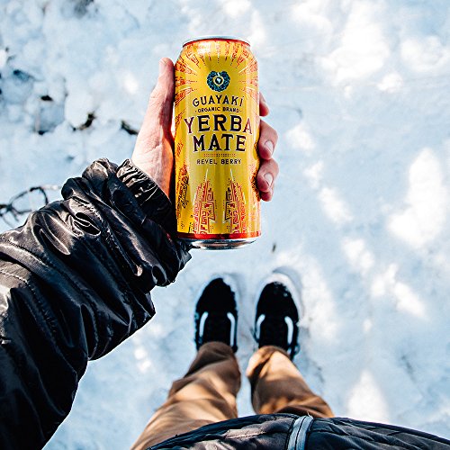 Guayaki Organic Yerba Mate Revel Berry 15.5 Ounce Pack of 12 USDA Organic | Guayaki Organic Yerba Mate Revel Berry 15.5