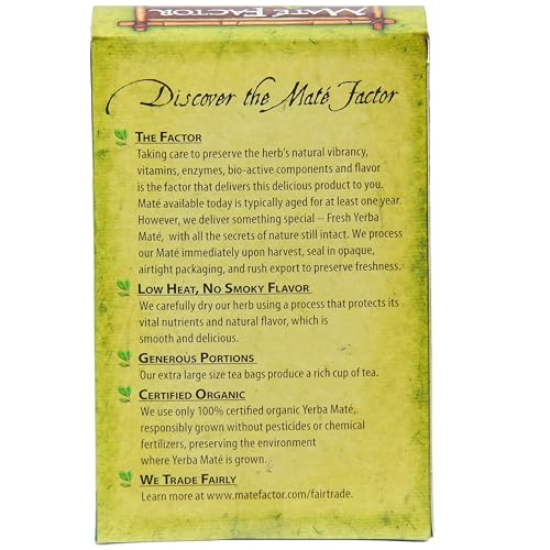 Yerba Mate Energizing Herb Tea Bag | Organic Fresh Green | Perfect Gift for Health-Conscious Adults | Work and Home | R