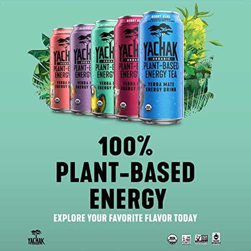 Yachak Passionfruit Yerba Mate Drink, 16 Fl Oz (Pack of 12) - USDA Organic for Health-Conscious Consumers