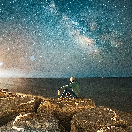 USDA Organic Organic Yerba Mate Sparkling Cranberry Pomegranate 12 Ounce (Pack of 12) | Organic Yerba Mate Drink Spark