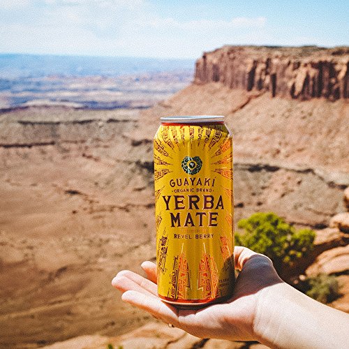 Guayaki Organic Yerba Mate Revel Berry 15.5 Ounce Pack of 12 USDA Organic | Guayaki Organic Yerba Mate Revel Berry 15.5